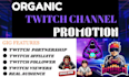 do twitch channel promotion, boost twitch live stream and engagement