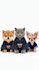 create adorable ai animal characters in costume uniforms