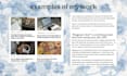 write SEO ready blog posts for small lifestyle businesses