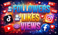 grow your social media followers organically facebook insta
