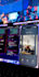 do flutter mobile app development for android and ios apps as flutter dev