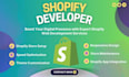 create a professional and high converting shopify store