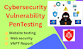 do website security testing and cybersecurity vapt