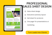 sales sheet, executive summary, sell sheet, one pager
