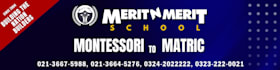 professional social media posts, banners and brochures