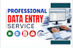 be your expert data entry operator for excel