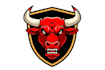 create outstanding angry bull head mascot logo with tshirt design