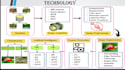 create clean and professional powerpoint presentations