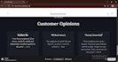 design a professional shopify store