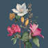 do a botanical illustration