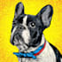 draw animal pop art dog cat pet potrait