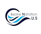 design a professional surf or ocean wave logo