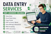 professional data entry, copy paste, excel and typing work