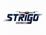 do make an excellent strigo drones logo