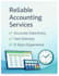 professional bookkeeping, accounting and excel services