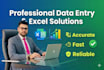 professional data entry and excel solutions