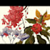 hand draw botanical illustrations