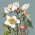 do a botanical illustration