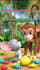 create professional 3d animated stories and video editing