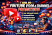 do youtube video and channel promotion
