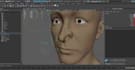 fix 3d face control rig, skin weighting,face expressions,lip syncing, blendshape