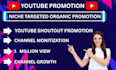 do organic youtube promotion to reach out to 1 million views