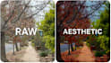 provide high quality video editing and aesthetic content