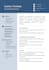 create a professional CV and resume