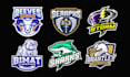 design custom mascot for sport, business, school
