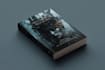 create a stunning custom book cover for your novel