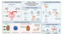 do detailed scientific figures, illustrations, diagrams, flowcharts