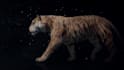 do 3d animation, 3d animal modeling, rigging and kids animation video