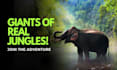 do you simple catchy youtube thumbnail