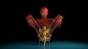 create viral 3d youtube thumbnails fern style, cinematic renders
