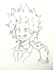 draw anyone you want on paper