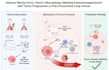 create scientific illustrations and graphical abstracts