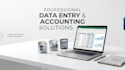 do fast and reliable excel data entry and accounting work