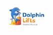 design a stunning, custom dolphin logo with modern flair