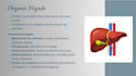 create professional health related presentations