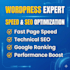 create a professional wordpress website design or redesign your site