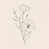 design best botanical line art  illustration