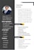 design a professional CV
