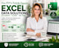 clean, format and organize your excel data professionally