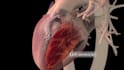do 3d medical animation 3d surgical device animation 3d anatomy explainer video