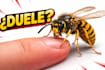 iral youtube thumbnails with high CTR