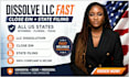 dissolve your US llc, close ein, and handle full llc closure
