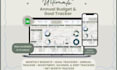 create excel budget planner, expensive tracker and business finance spreadsheet