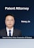 provide legal services  patent drafting