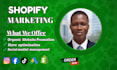 boost shopify sales through shopify promotion