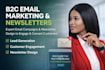 design email marketing newsletters and write SEO b2b content